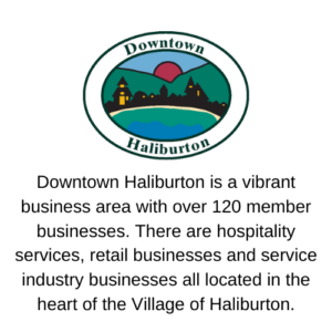 haliburton bia